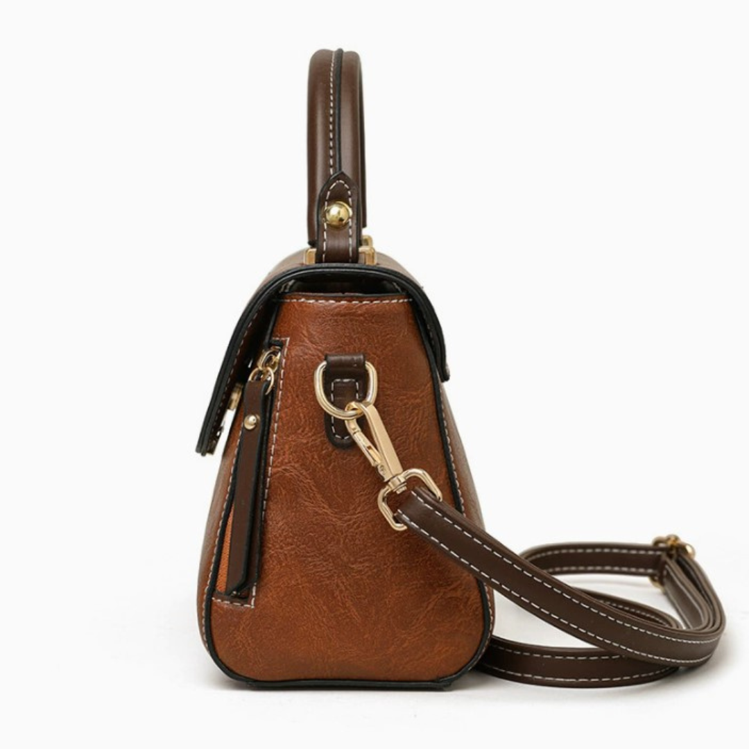 Vintage Havana Handbag