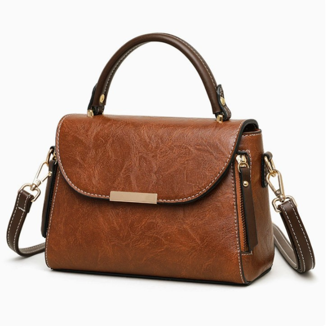 Vintage Havana Handbag